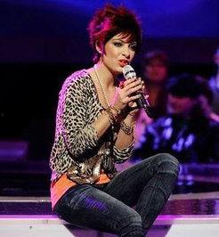 美国偶像 第二十三季,梦想再燃，新星闪耀的歌唱竞技之旅