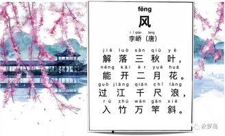 古镜通古代，我囤货娇养了女帝